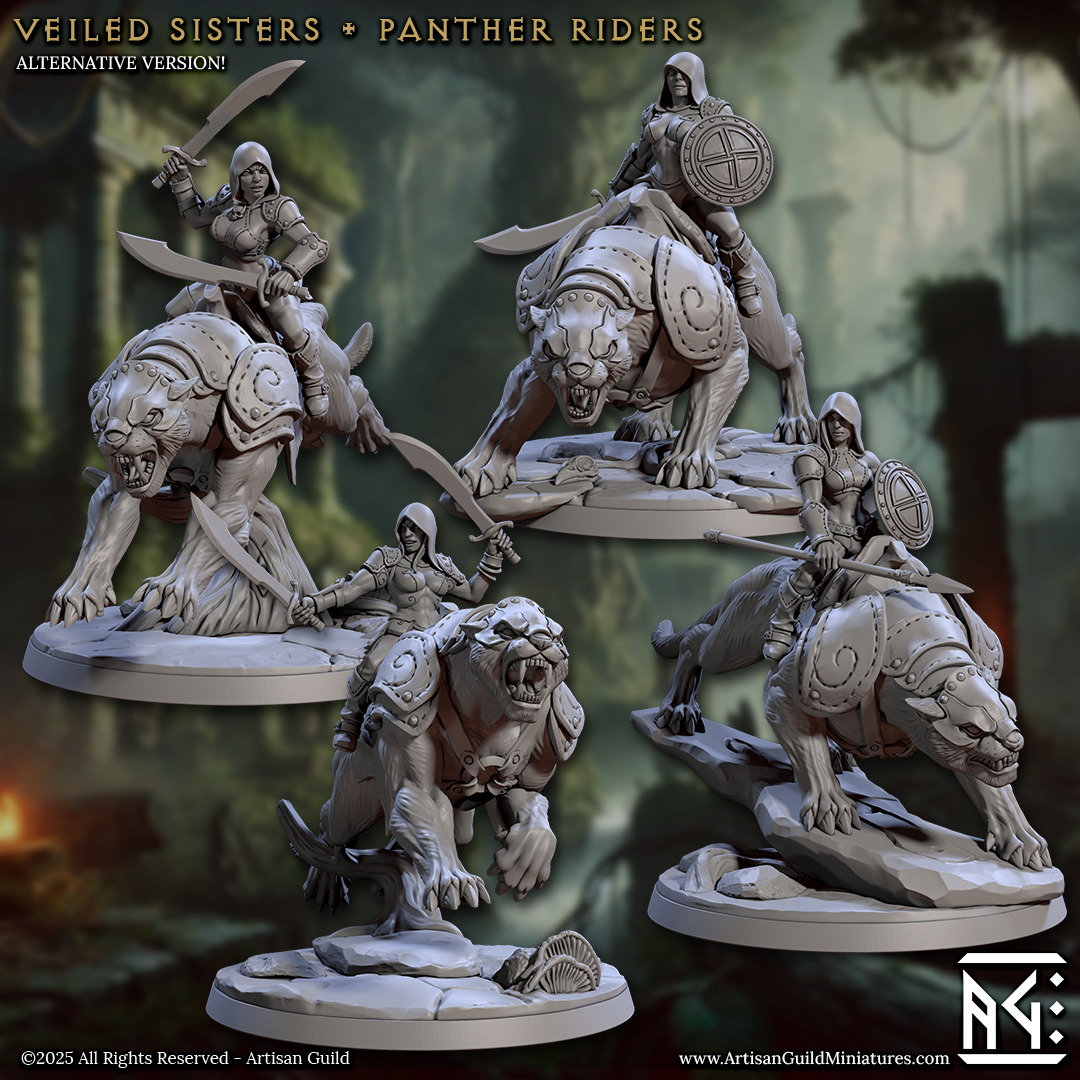 3D Printed Artisan Guild Panther Riders Veiled Sisterhood Set 28mm 32mm