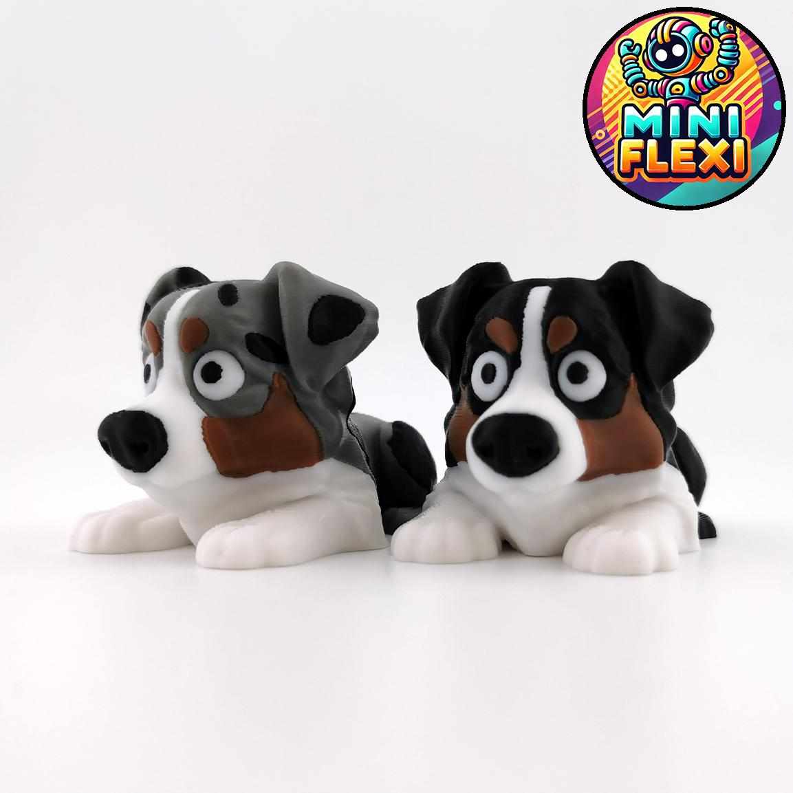 Flexi Dog - Australian Shepherd