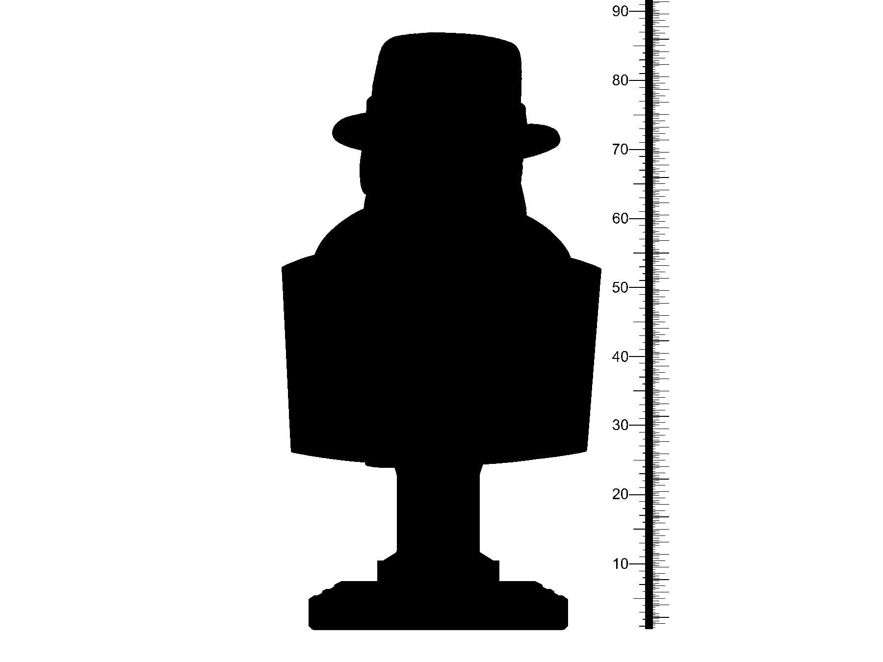 3D Printed Clay Cyanide Fantasy Kingdom - Bimbolroco Bust 28mm 32mm D&D