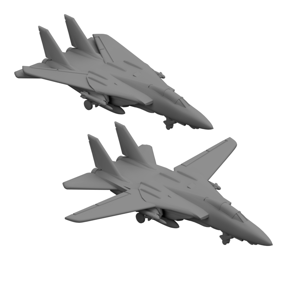 F-14 Tomcat