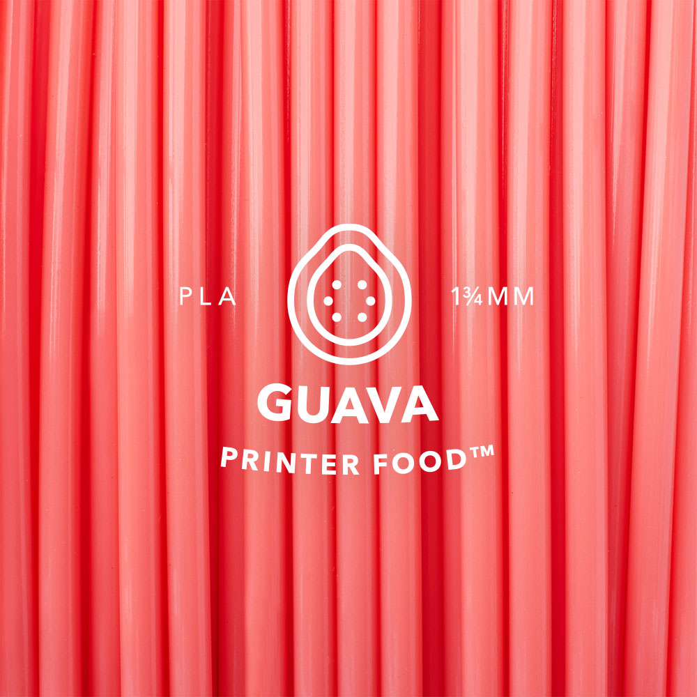 Guava Printer Food